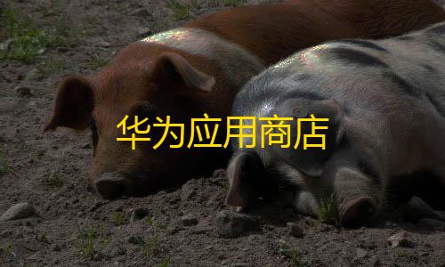 暗区突围免费透视华为应用商店